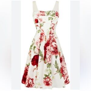 Karen Millen Floral Print Dress Sz 10